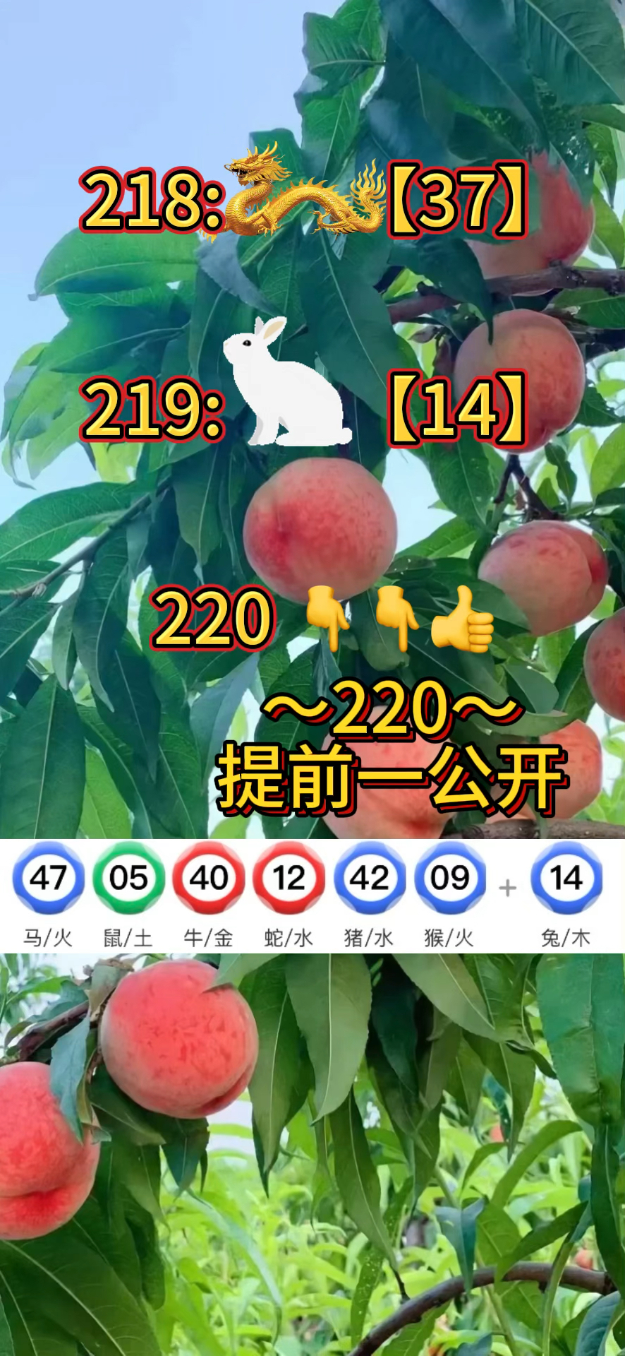 澳门2021全年免费资料,豪华精英版79.26.45-江GO121,127.13